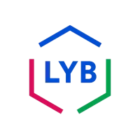 LYB logo with colorful geometric design